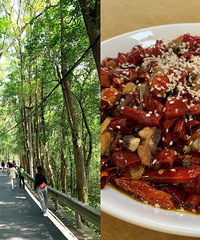 重温一遍歌乐山,爬山赏湖吃辣子鸡