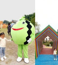 重庆也有童话小镇了,美丽乡村可以喂鸵鸟,喂山羊,人不多不排队