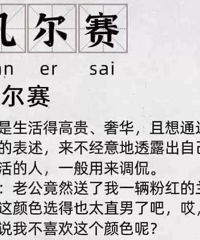 凡尔赛文学文案大赏,感受下网友们的神发言