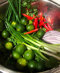 һ�𳤴��Լ��������ƪ