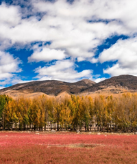 7촨Σɫ̫ˣһ·ϸ·