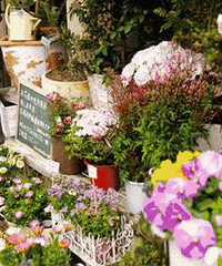 30һ걻Աҿһһ꣬¼ҵĴҵ