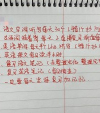 成绩中下考上二外,还好补了10天小升初衔接,让娃考进小语种班