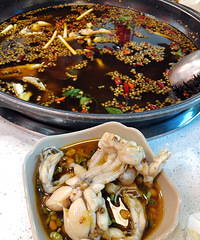 ��è�Ƕ����������������ͷ��һ�Ծ�ͣ��������