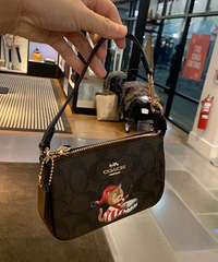 ���ˣ�Coachʥ�������齫��