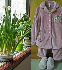 С㵥ȴܳʵůͬѺͲ߻ļ