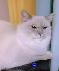 èһ��ʼ�����ҳ���ʱ����Զ֮�����ڻ�Ҫ�������ᣬ�ѵ��������