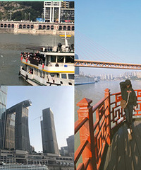 重庆人也要打卡的两江游,风景好看海鸥