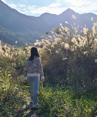 打卡韩剧同款杉树林和芦苇林,这个地方也太好拍了,农家菜还便宜