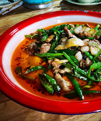 ��ҡ������Ƿ硱�����˻����ܾ��壬����ȴ�õĺ�