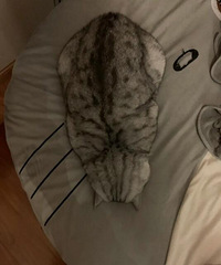 쵽ˣҼèĺ䣬ʱضڵ