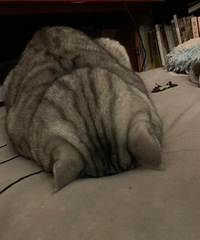 쵽ˣҼèĺ䣬ʱضڵ