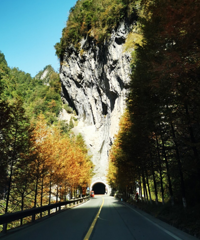 去有小张家界之称的城口亢谷两日游,现在免费,山地鸡味道还不错