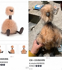 双十一网购翻车大赏,先别买了,都给我进来笑!哈哈哈哈哈