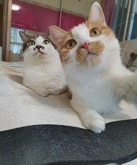 ·߼èúźţҲӵиֵ