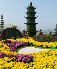 ܵѾջչȷʵСϹչͼ