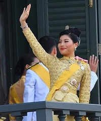 ����̩������ҡ��һ������֮��