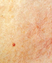 ֱϵ벻̥ǣŴĸסĸ״ҵҸӡ