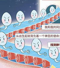 精子进入体内的24小时,每个生命的诞生都太不容易了