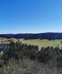 ס2ֻҪ899ɹ̫ԭҪ̫ˬ