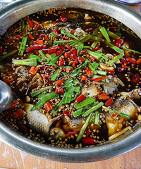 山上摘橘子,吃鲫鱼的一天