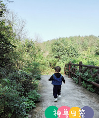 ���ϵ�С¹�ر�ԣ��ܶ�������һ��ˣ