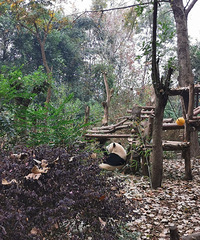 ߰ٿסϻʹڼ׷ȥèؿè+ȥĶ