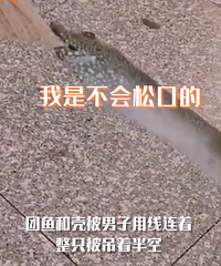惊!重庆某商场有美女的衣服遭甲鱼咬住了