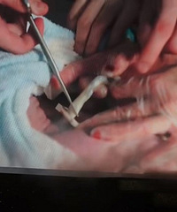 Ella�����������̣���Ϊĸ����Ҫ������̫����