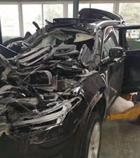 Ӧȫżߵľֲ˰ɣû֮һ