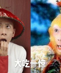 ��һɽ�ݵ�ΤС����һֻ��