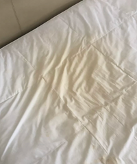 ����û��ͬ���Ϲ� ��˯�����Ѵ�����˯����....