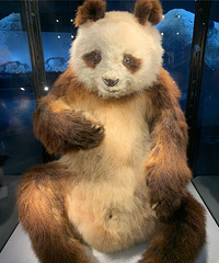 ̬԰һȪƵ̫ʺΣ䱸ȫ