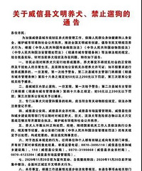 城区禁止遛狗,发现3次直接捕杀?养狗新规出台引热议