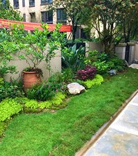 ʱ䣬ҵĻ԰޵УԼЩݲ