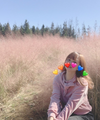 这里的粉黛完胜礼嘉