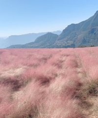 ķʤǻ۹԰ïܣȥɭֹ԰ˣ