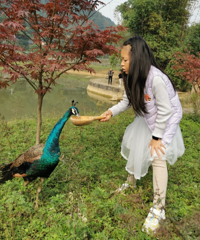 1����Сʱ�͵�����ι��������ֵĺõط�����������Ʊ�Ĺ���