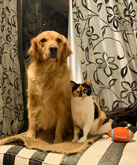 һֻëֻèɽ65ƽ¶Сҿװ