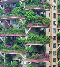 你能接受这种“第四代住宅”吗?空中庭院,整栋楼被绿色植物包裹