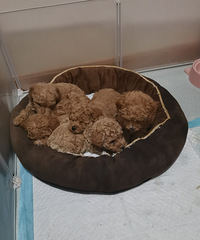 ճ5ֻ̩̿ùԺ̣ɿɫ̩Ͽը