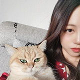 爱猫的地产妹子待脱单