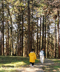 סӾƵ꣬ιˣԭҪ̫