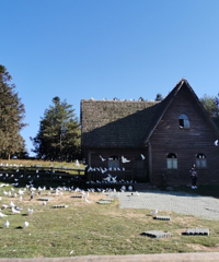 סӾƵ꣬ιˣԭҪ̫