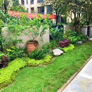 自己捣腾的花园,真美