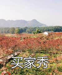 去大火的南湖多彩植物公园看红枫,我来说说50块门票值不值