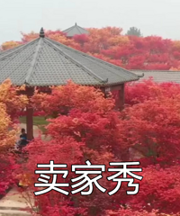 去大火的南湖多彩植物公园看红枫,我来说说50块门票值不值