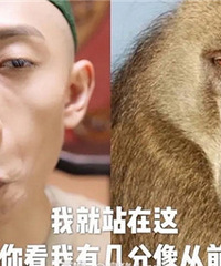 һɽݼҲˣΤСݳɺÿٶ