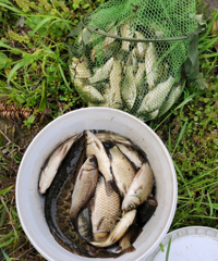 1小时到的野钓好地方