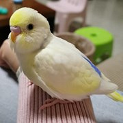 真想把它随身携带